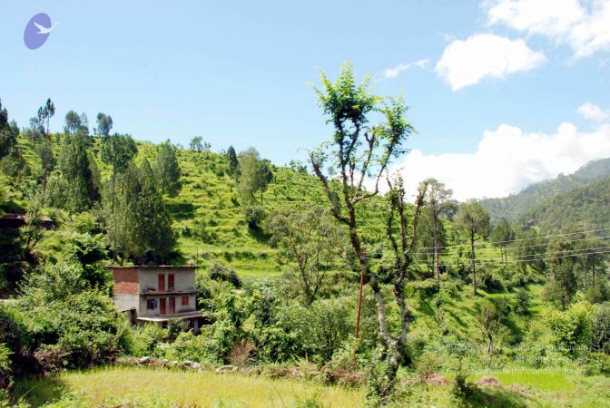 20080701 DSC 0500 CMP WM 0011.jpg