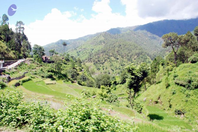 20080701 DSC 0504 CMP WM 0011.jpg