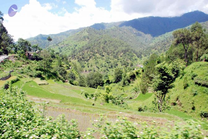 20080701 DSC 0505 CMP WM 0011.jpg