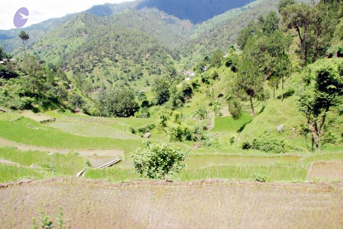 20080701 DSC 0506 CMP WM 0011.jpg