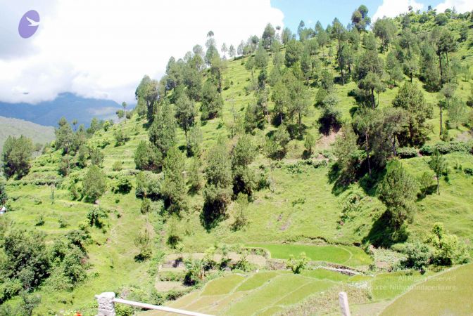 20080701 DSC 0509 CMP WM 0011.jpg