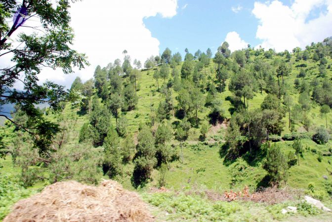 20080701 DSC 0511 CMP WM 0011.jpg