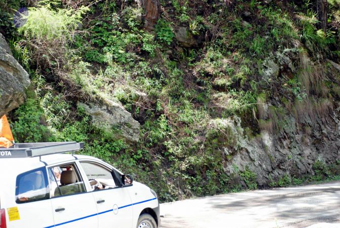 20080701 DSC 0526 CMP WM 0011.jpg