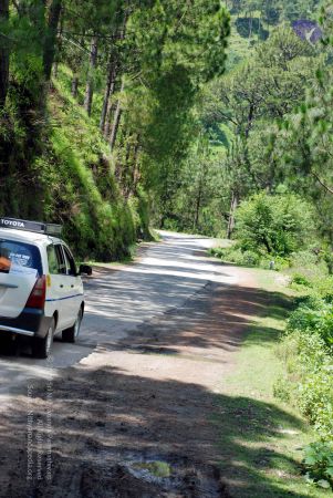 20080701 DSC 0529 CMP WM 0011.jpg