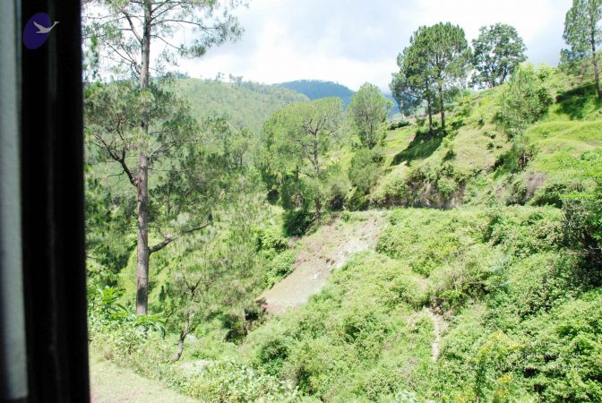 20080701 DSC 0531 CMP WM 0011.jpg