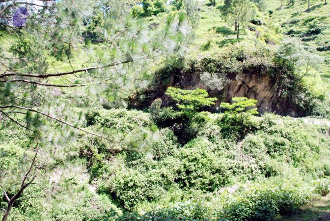 20080701 DSC 0534 CMP WM 0011.jpg