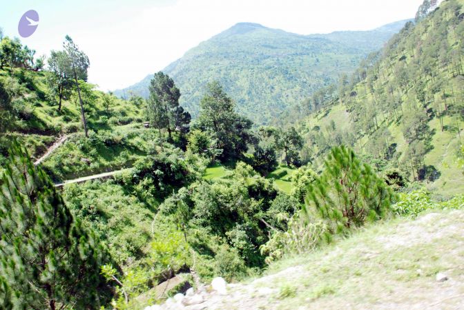 20080701 DSC 0541 CMP WM 0011.jpg