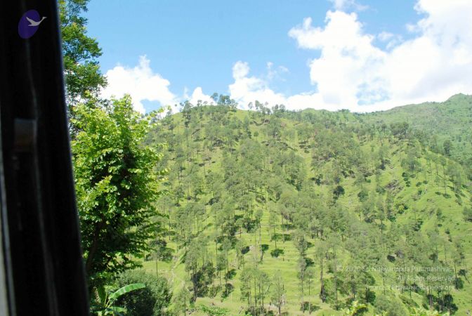 20080701 DSC 0542 CMP WM 0011.jpg