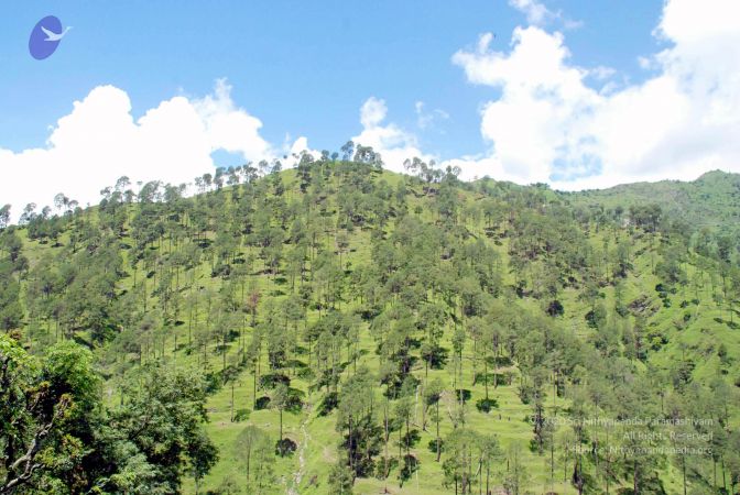 20080701 DSC 0544 CMP WM 0011.jpg