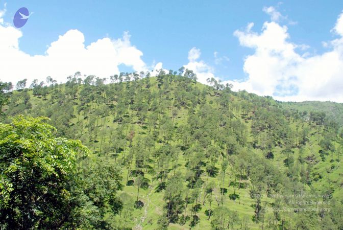 20080701 DSC 0546 CMP WM 0011.jpg