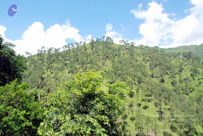 20080701 DSC 0548 CMP WM 0011.jpg