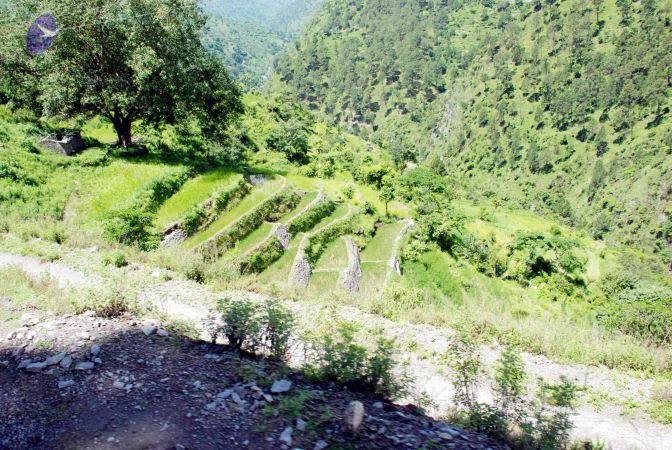 20080701 DSC 0561 CMP WM 0011.jpg