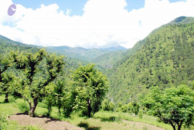 20080701 DSC 0564 CMP WM 0011.jpg