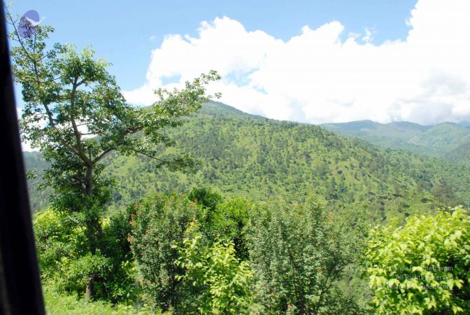 20080701 DSC 0569 CMP WM 0011.jpg