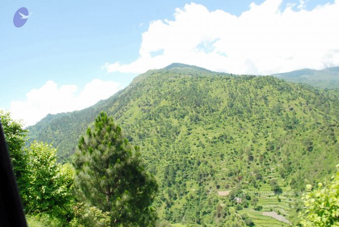 20080701 DSC 0570 CMP WM 0011.jpg