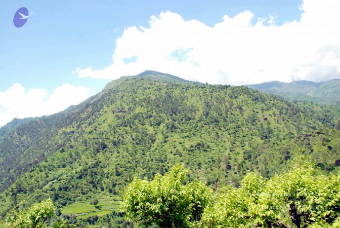 20080701 DSC 0571 CMP WM 0011.jpg