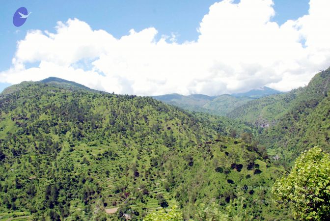 20080701 DSC 0572 CMP WM 0011.jpg