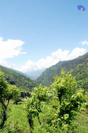 20080701 DSC 0574 CMP WM 0011.jpg