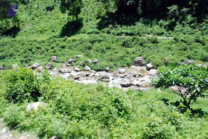 20080701 DSC 0590 CMP WM 0011.jpg