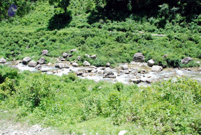 20080701 DSC 0591 CMP WM 0011.jpg