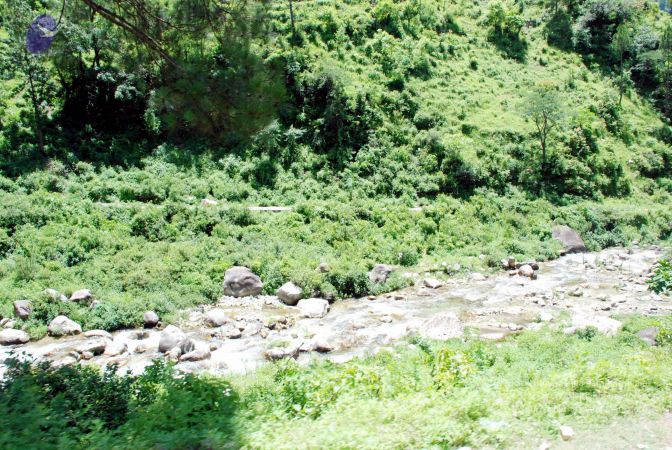 20080701 DSC 0592 CMP WM 0011.jpg