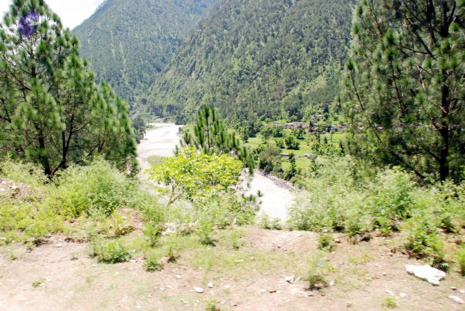 20080701 DSC 0613 CMP WM 0011.jpg