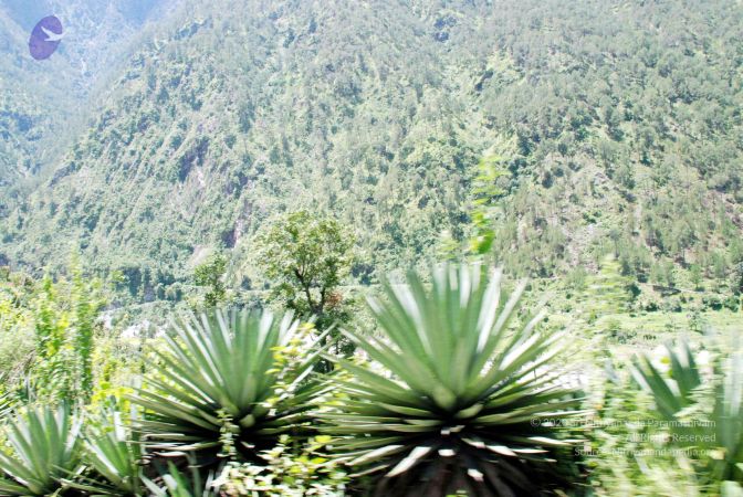 20080701 DSC 0625 CMP WM 0011.jpg