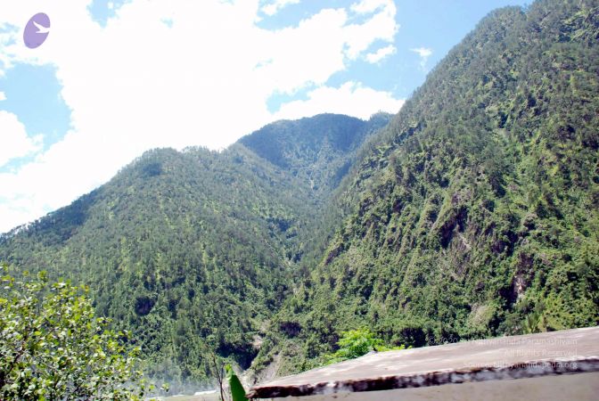 20080701 DSC 0630 CMP WM 0011.jpg