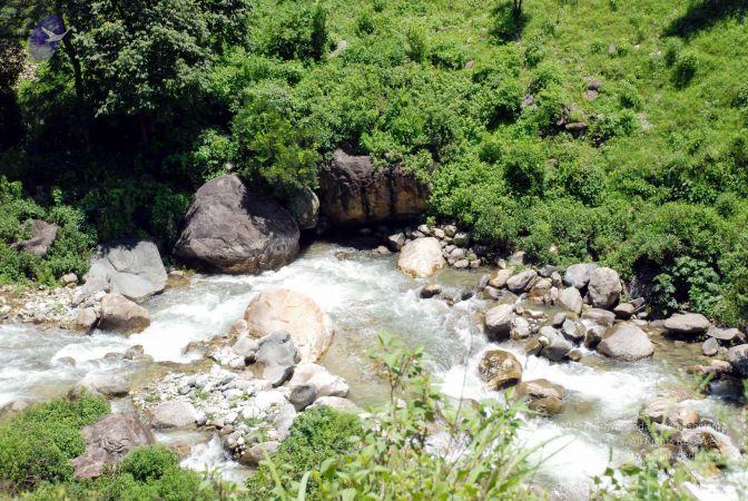 20080701 DSC 0653 CMP WM 0011.jpg