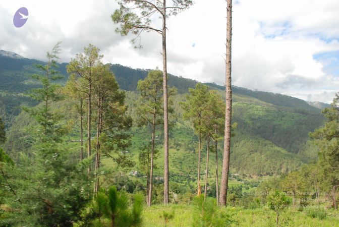 20080701 Photo 1491 1ARGP WQ5gTuMdzdL9udywEX18Nxt65XQ.JPG