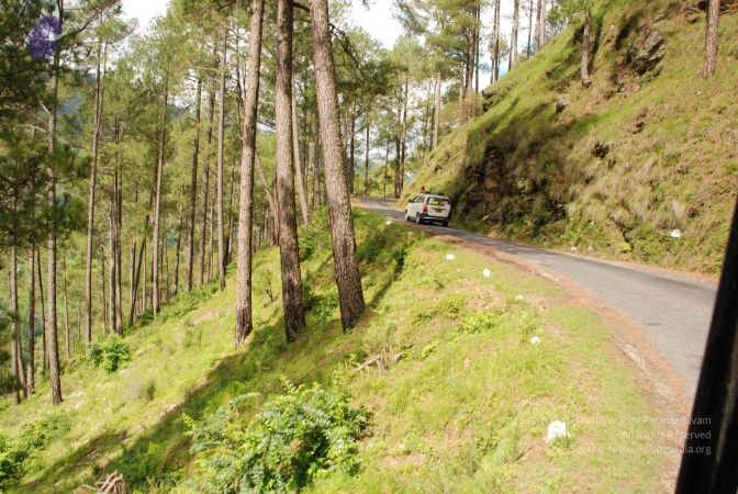 20080701 Photo 1497 1a DOiF 6ciphKWuP 89BIgOltEJ80X3J.JPG