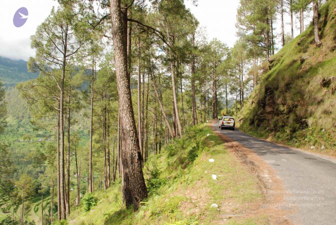 20080701 Photo 1498 1KJqIFLndPnMP6osfyIH00mwr5nVWLb3y.JPG