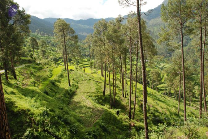 20080701 Photo 1501 11vdrk8jF46b6KB8JeE4AJcIy3NHvAXeq.JPG