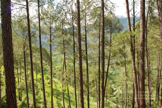 20080701 Photo 1503 1pYYGiaWprDkxoJmv9HHl4aqybWWeZ91q.JPG