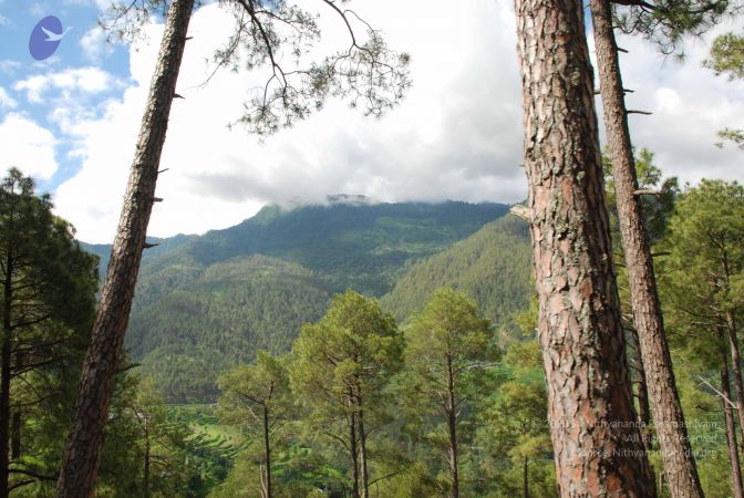 20080701 Photo 1506 1vTycxVMn0QTT3jLhFgMwrVN28hJhGcsM.JPG