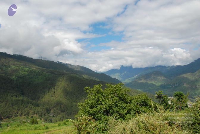 20080701 Photo 1519 13lFEvp7RkWLwrE9LTAA2H6n nu1DNSVC.JPG