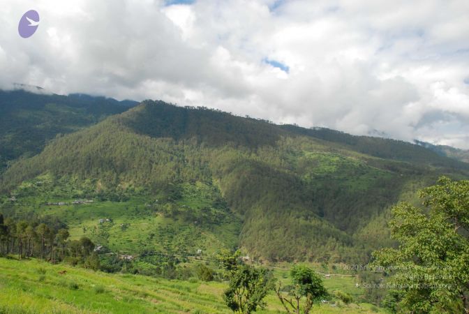 20080701 Photo 1523 1kVIyFyoCPwb36V-GICnwOwJ2jwAKjheW.JPG