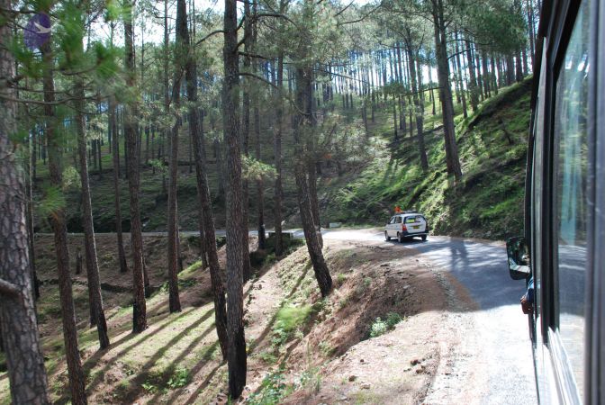 20080701 Photo 1528 1nrQy7n1RLZyo2z6h-ob6BSskrw4tfLL8.JPG