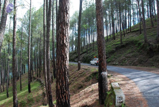 20080701 Photo 1532 1I1qhvrOv6uIbNh7AG1A0qr6Ym6aGxngO.JPG