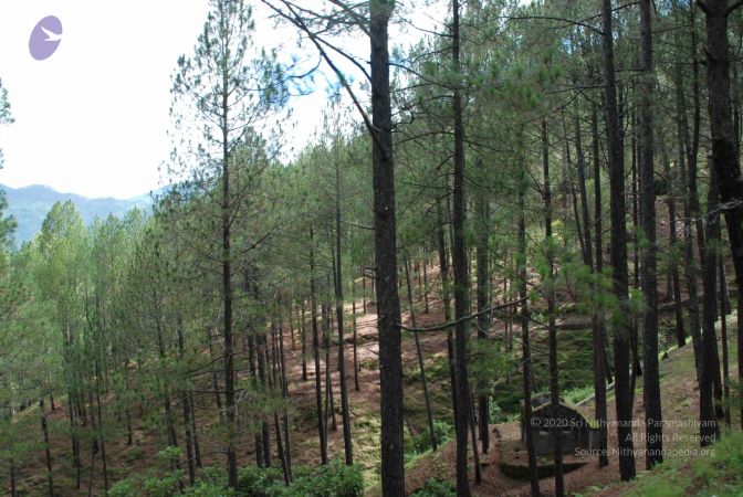 20080701 Photo 1538 1OCXyiVl2pJAz0GdZdseohaHdy7mcgsYd.JPG