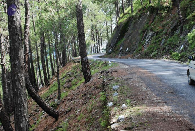 20080701 Photo 1553 1Cthb6Bbj-JLZ5t5w XlWoSlB2qSIZE01.JPG