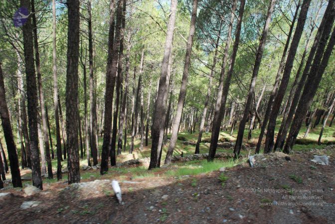 20080701 Photo 1561 1rrwTfc6Xx SzOrAGTcoB1E8B-MH9oZsF.JPG