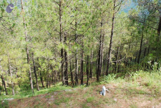 20080701 Photo 1567 13b 00U9Y-yFDkoRFJEmtDzfxi8tjJhtH.JPG