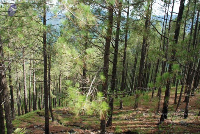 20080701 Photo 1568 1L9R16IU7S8ba21sXYZWRcxMUs00Wln P.JPG