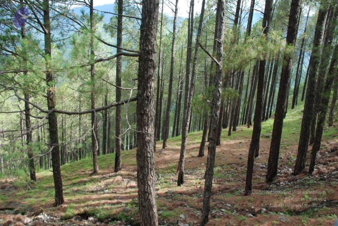 20080701 Photo 1569 189jRm-pMbpJVfnvp9tiBAMTt2c1kl3dR.JPG