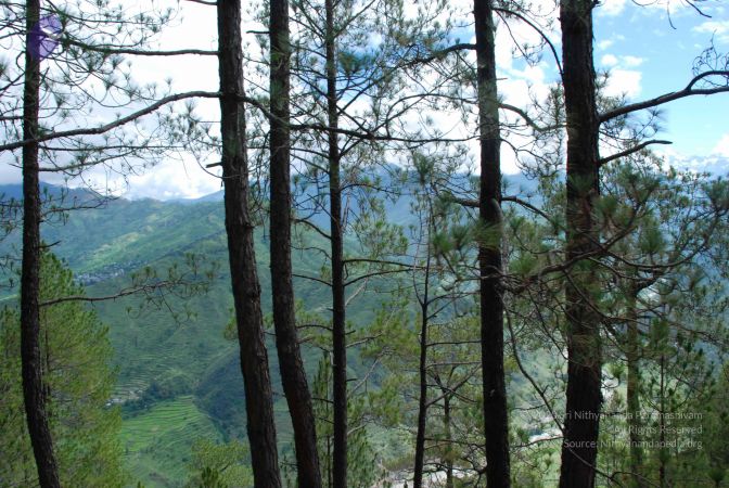 20080701 Photo 1576 1yUF7y5v3bfa04Gx-v59JVlBsDPt53upr.JPG