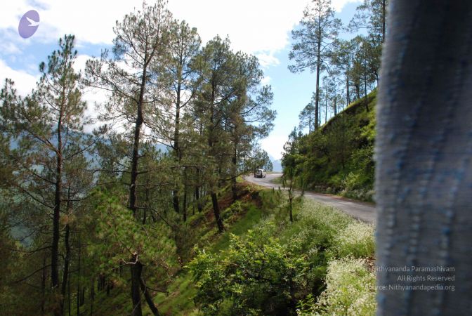 20080701 Photo 1584 1lPepdtXk-n9 T80Wkpz4dpwFx7jm794l.JPG