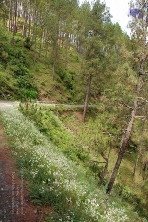 20080701 Photo 1587 1DDspUGrwHoZ5mbnRTfHvlMJI9sMVye d.JPG