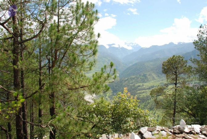 20080701 Photo 1594 1P7AoVXUV 9cadH7c0MbLFD2yAh8JVq-V.JPG