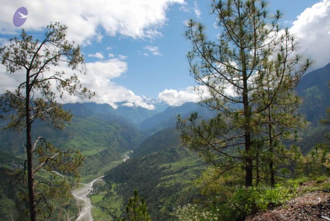 20080701 Photo 1599 1i3-x88HEGCf neNTxcRtxbZPZNmYSsEC.JPG